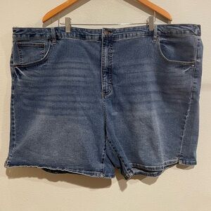 Terra & Sky Plus Size Denim Shorts